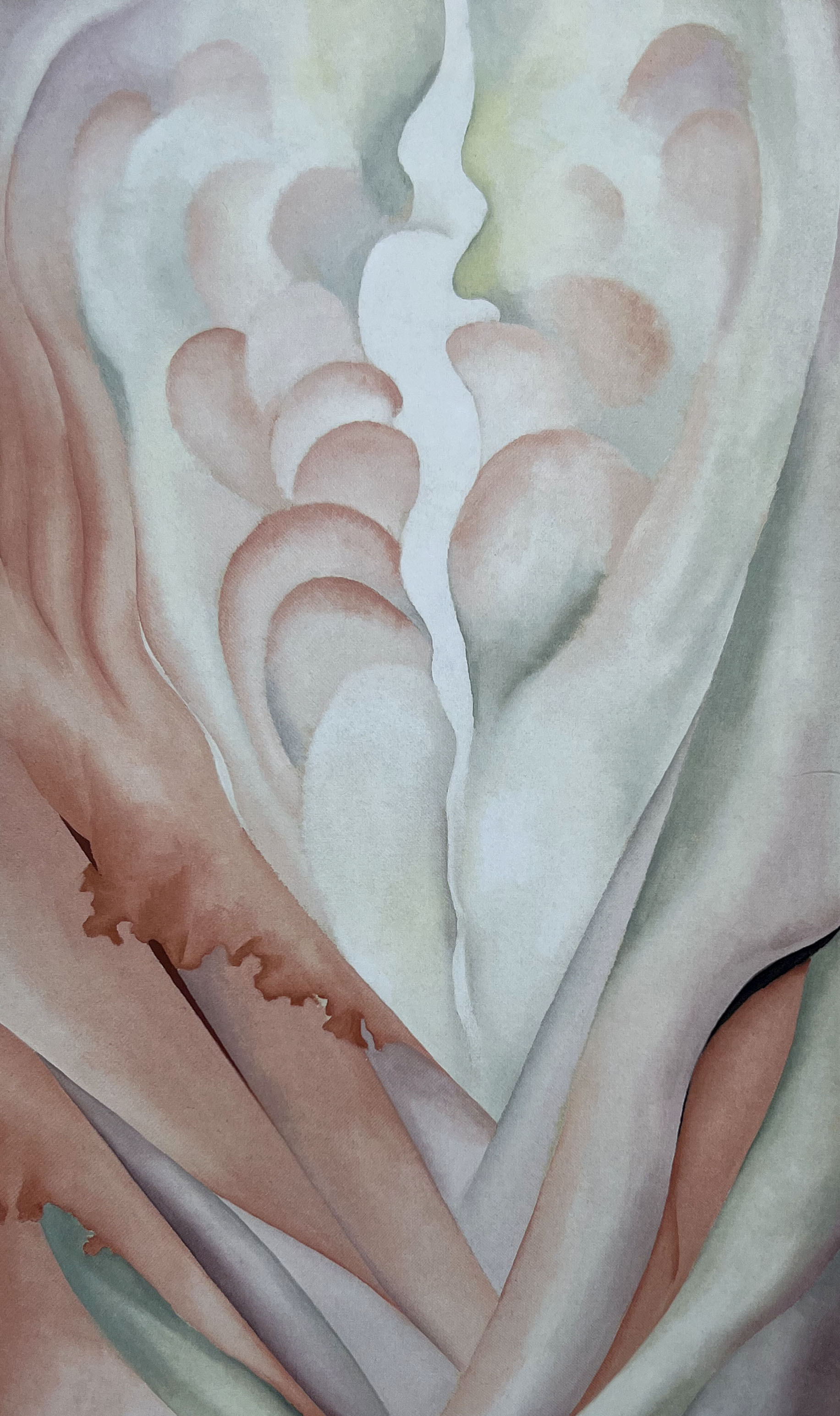 Georgia O’Keeffe, Fig.29 Flower Abstraction, 1924 Oil paint on canvas 122.2 × 76.2, Whitney Museum of American Art, New York