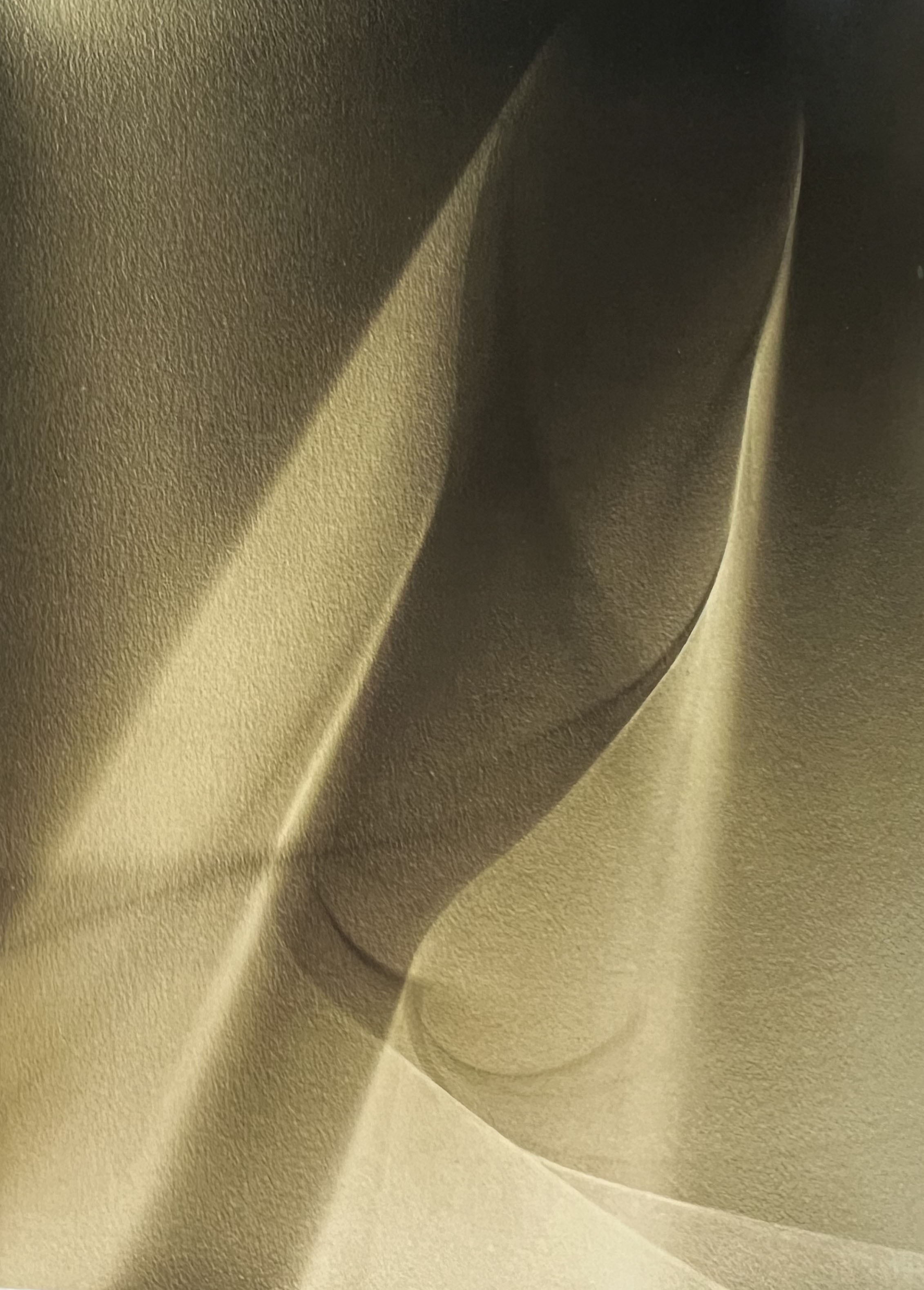 Lotte Jacobi, Photogenic, 1946-55, Gelatin-silver print. 10 x 8 in. (25.4 x 20.3 cm)